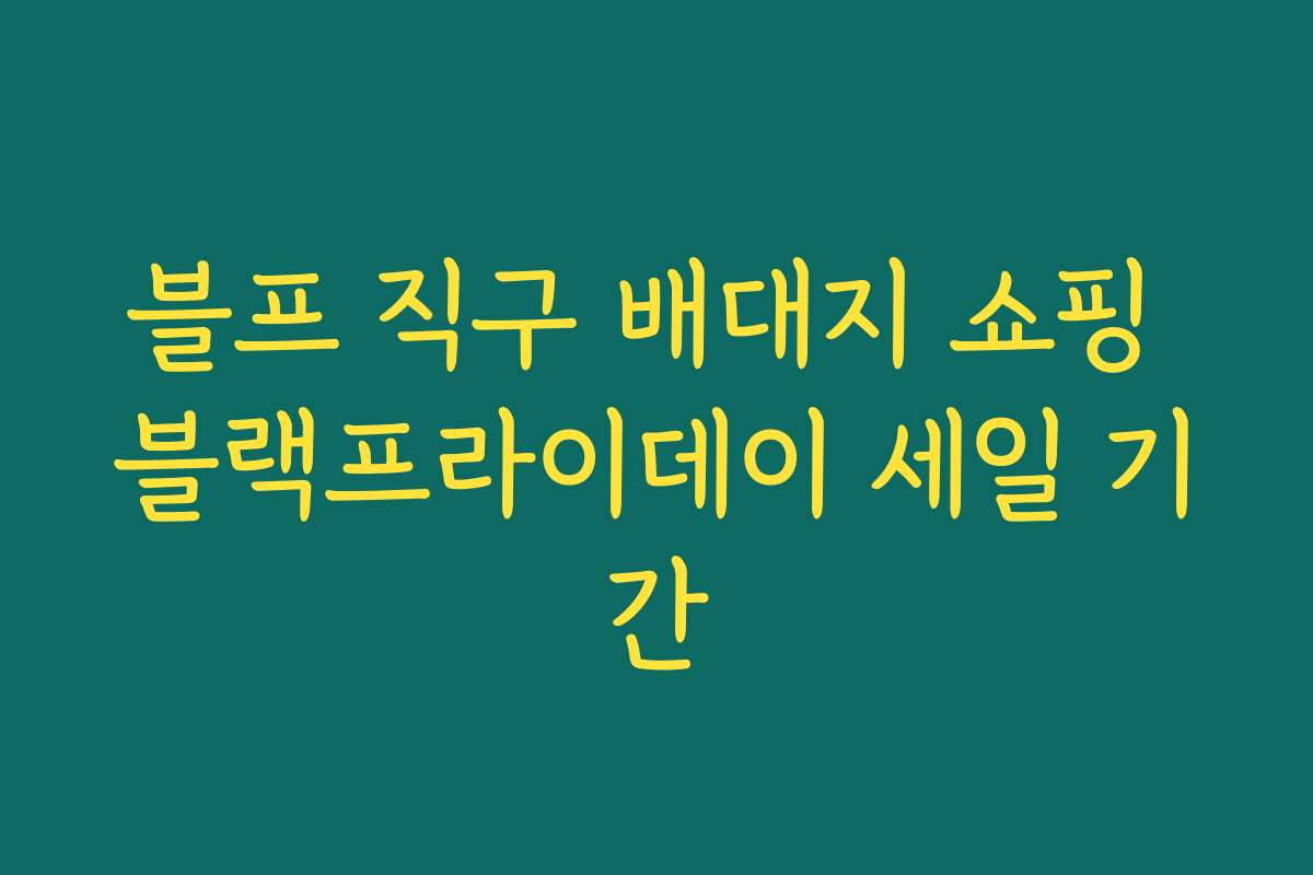 블프 직구 배대지 쇼핑 블랙프라이데이 세일 기간