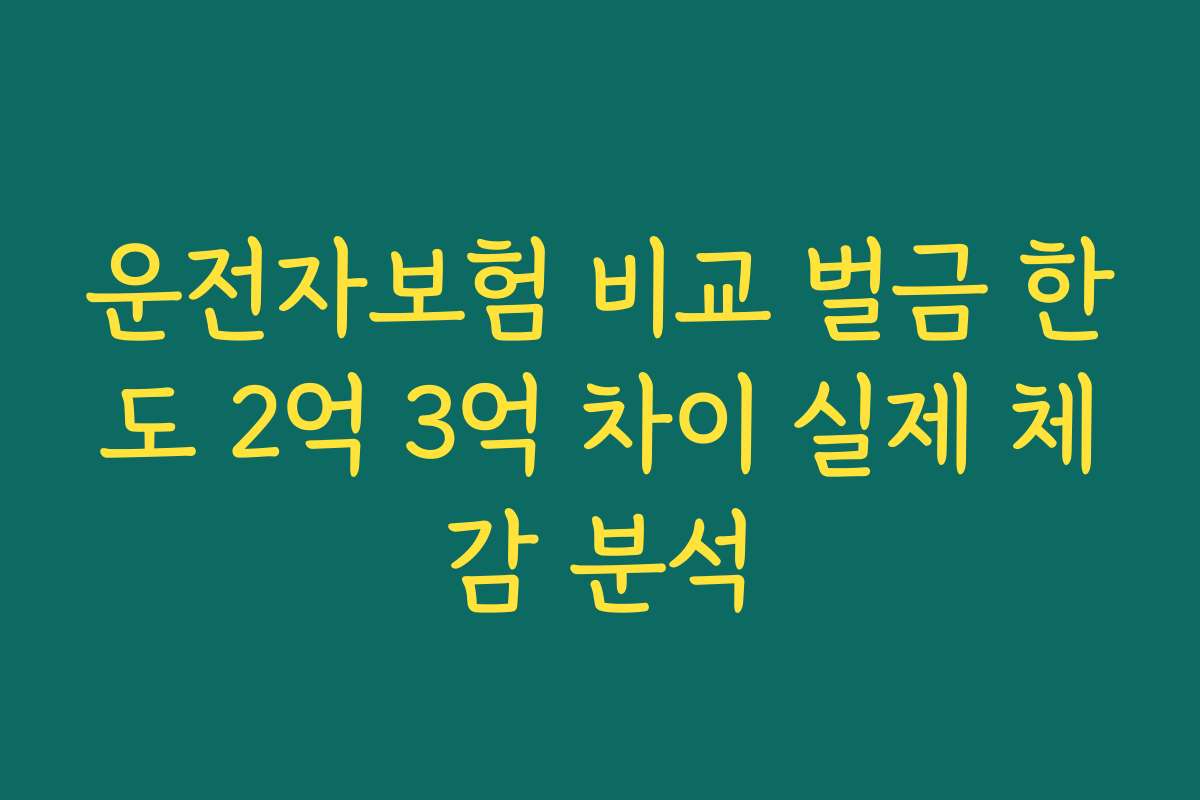 운전자보험 비교 벌금 한도 2억 3억 차이 실제 체감 분석
