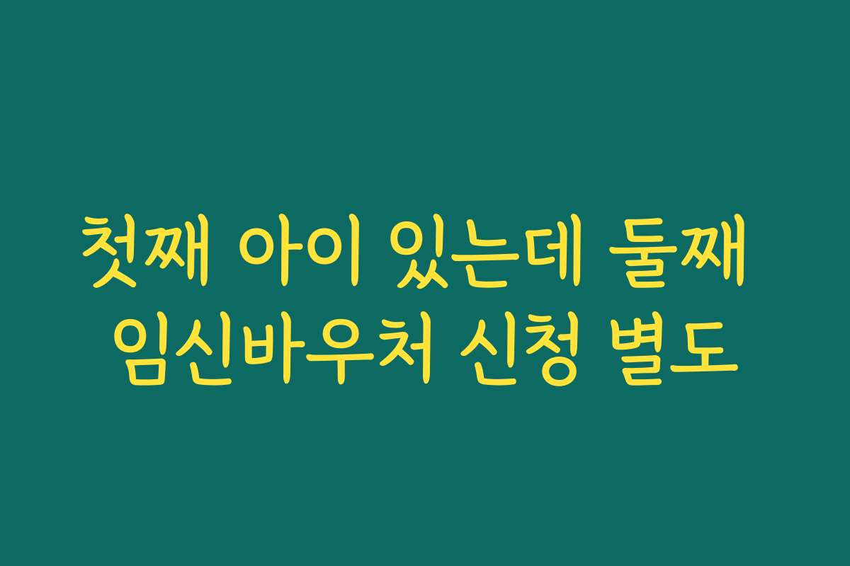첫째 아이 있는데 둘째 임신바우처 신청 별도