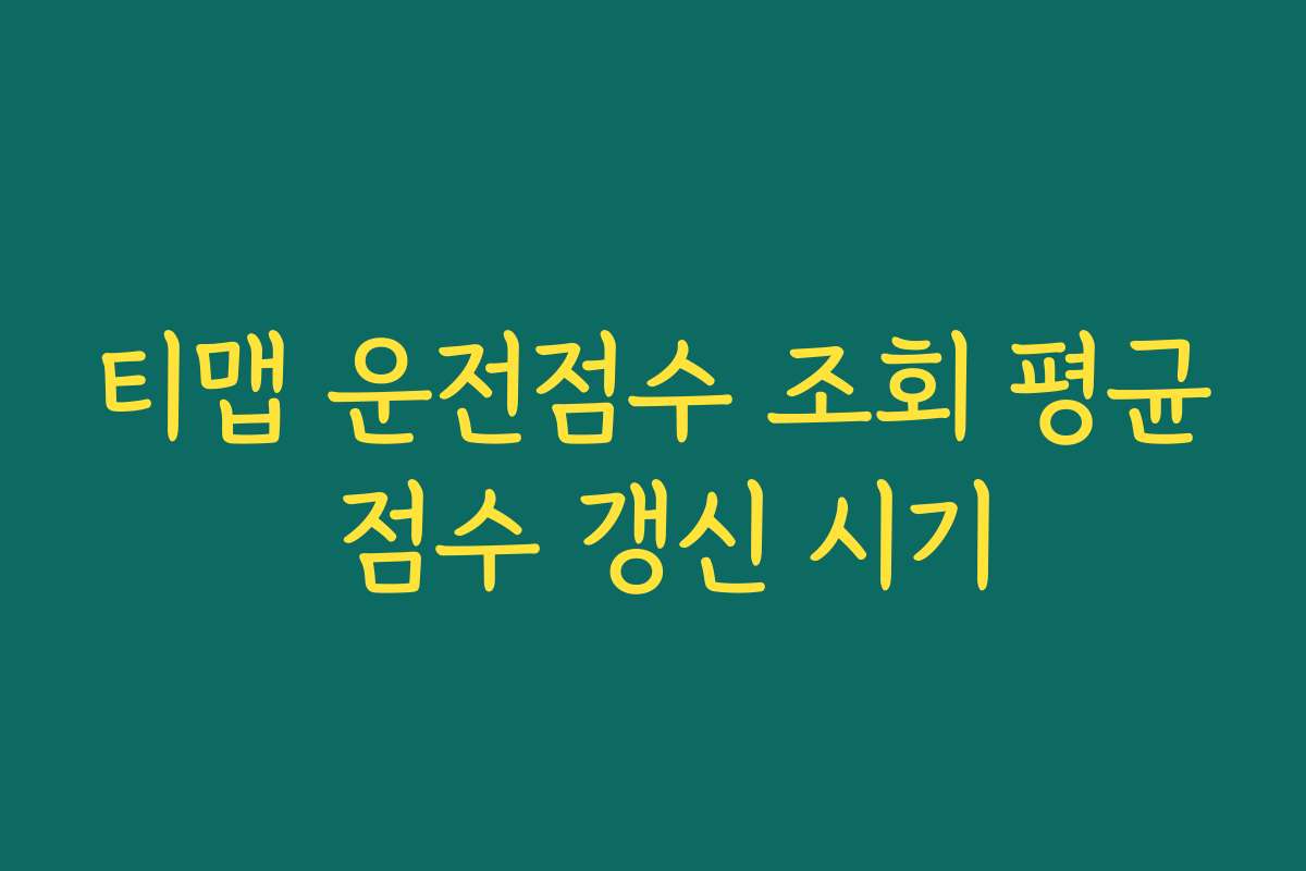 티맵 운전점수 조회 평균 점수 갱신 시기
