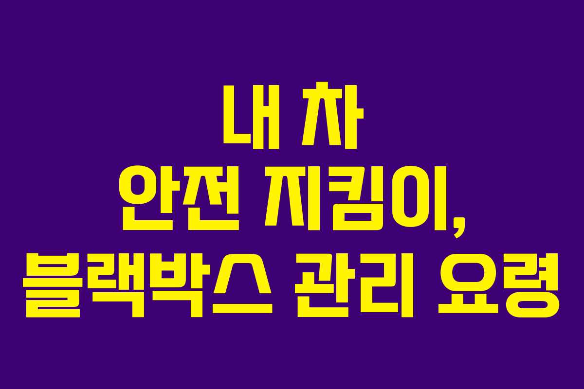 내 차 안전 지킴이, 블랙박스 관리 요령