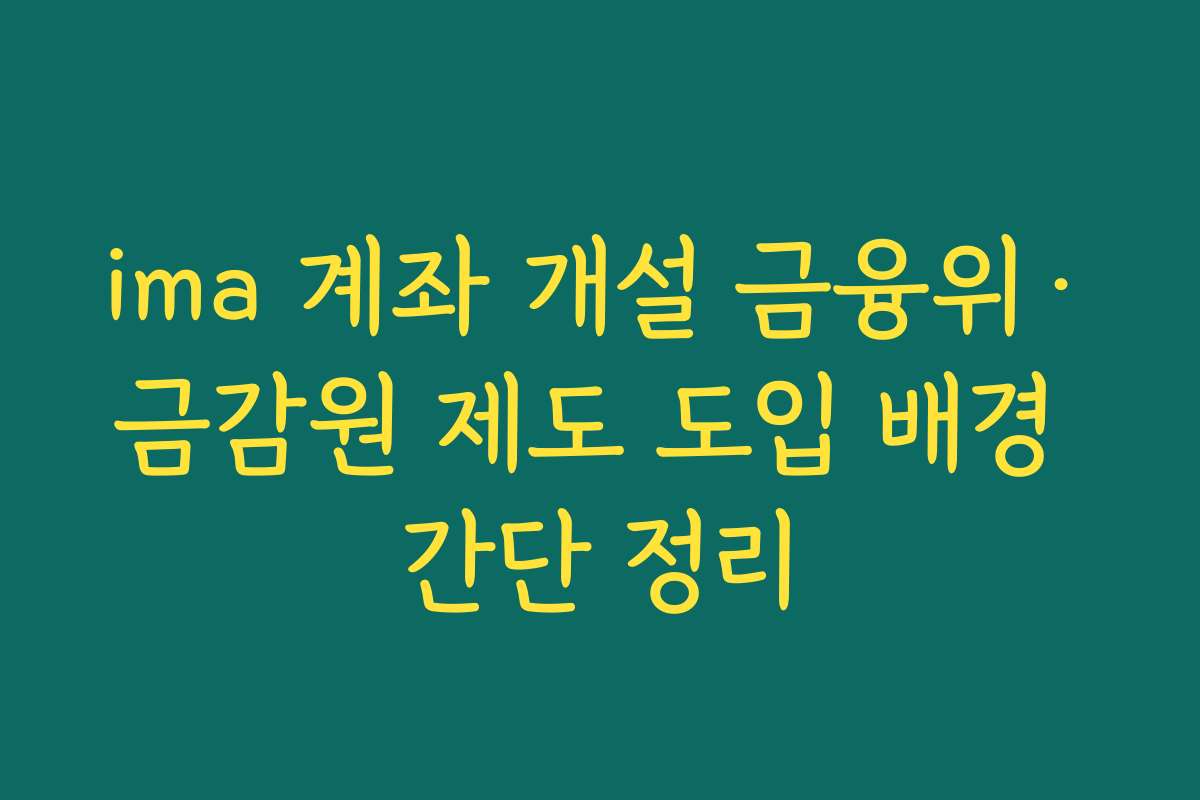 ima 계좌 개설 금융위·금감원 제도 도입 배경 간단 정리