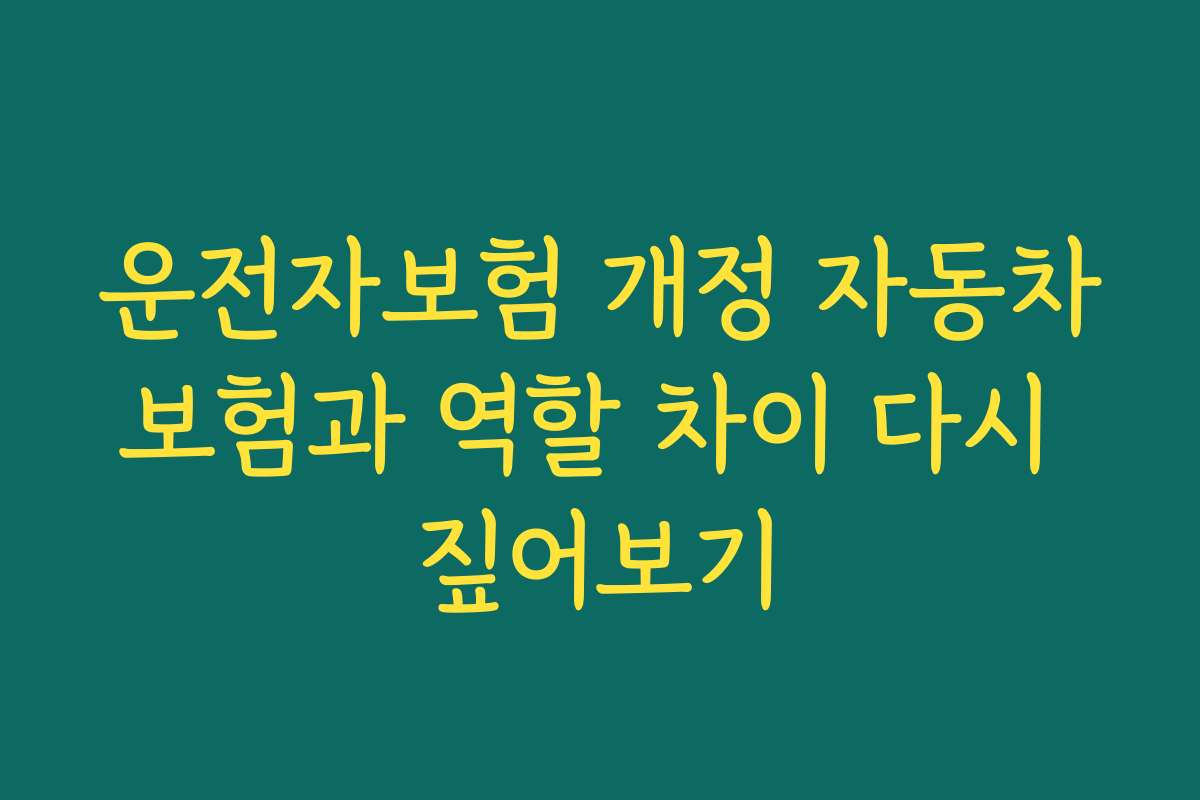 운전자보험 개정 자동차보험과 역할 차이 다시 짚어보기