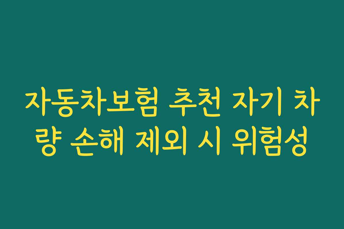 자동차보험 추천 자기 차량 손해 제외 시 위험성