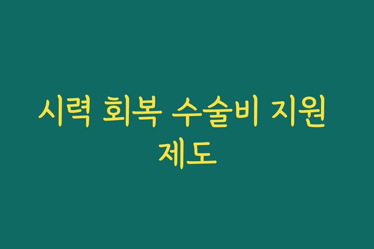 시력 회복 수술비 지원 제도