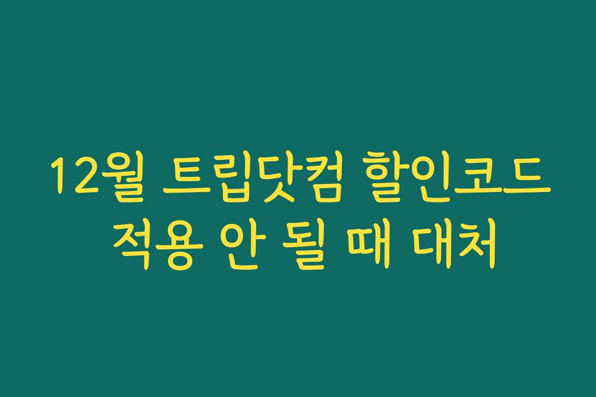12월 트립닷컴 할인코드 적용 안 될 때 대처