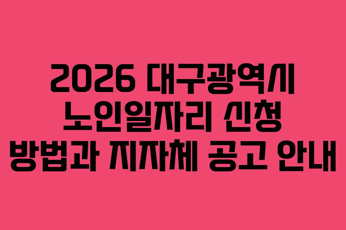 2026 대구광역시 노인일자리 신청 방법과 지자체 공고 안내