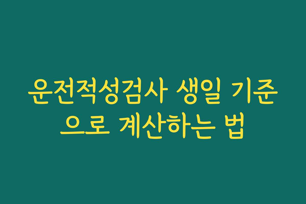 운전적성검사 생일 기준으로 계산하는 법