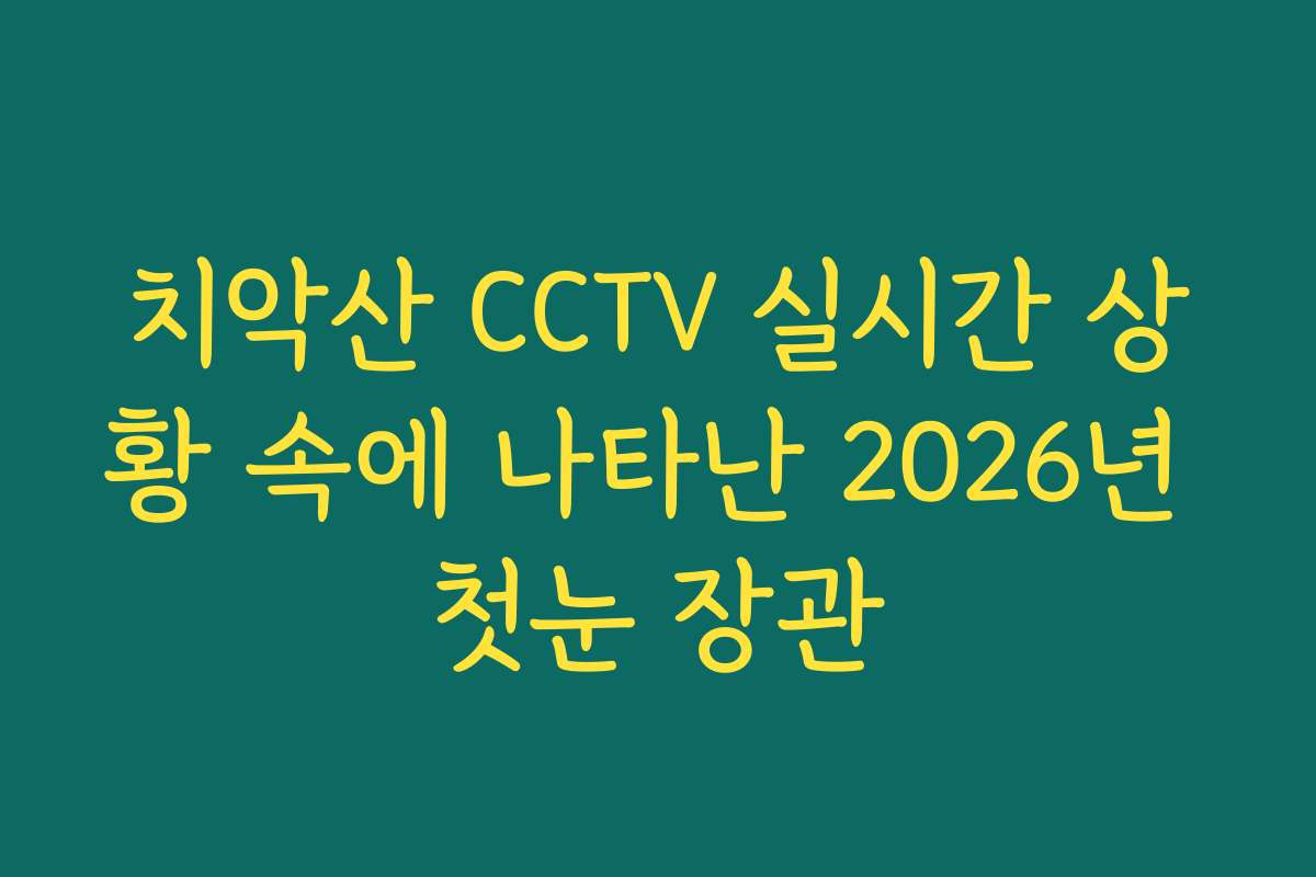치악산 CCTV 실시간 상황 속에 나타난 2026년 첫눈 장관
