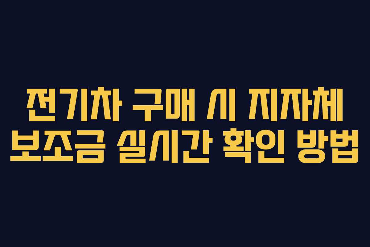 전기차 구매 시 지자체 보조금 실시간 확인 방법