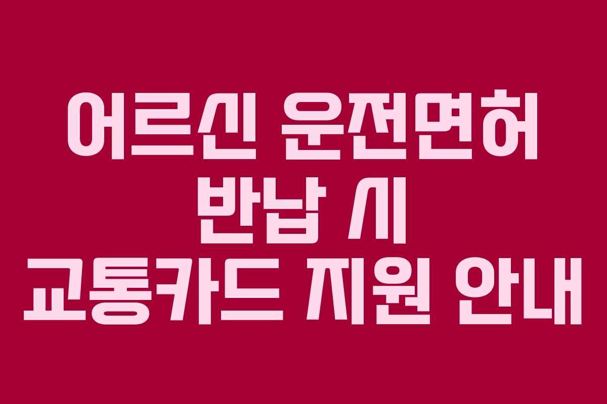어르신 운전면허 반납 시 교통카드 지원 안내