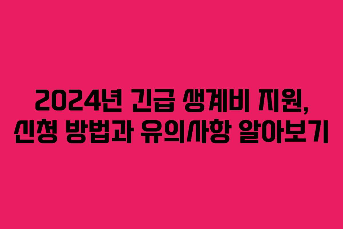 2024년 긴급 생계비 지원, 신청 방법과 유의사항 알아보기